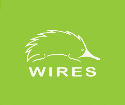 new wires About Us